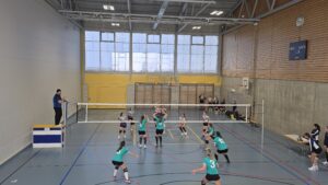 Liga-Meisterschaft und Aufstieg in 3. Liga